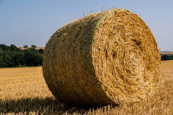 Straw bale harvest at the field — Stock Photo, Image
