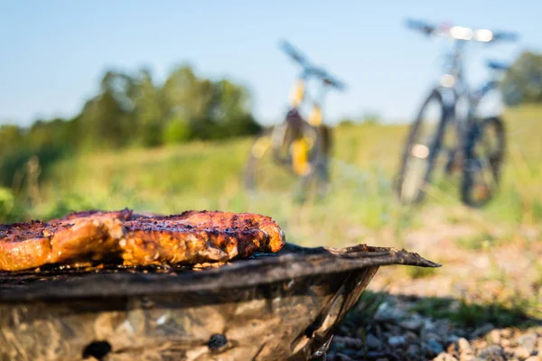 Doğada tek kullanımlık barbekü. — Stok fotoğraf