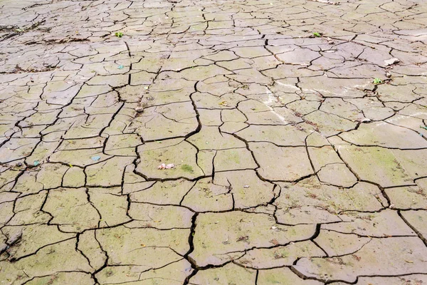 Dry Ground cracks Climate Change
