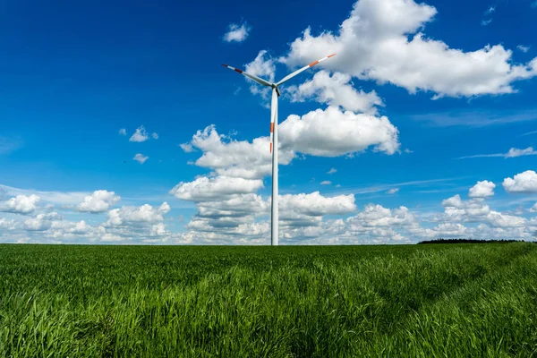 Windkraftanlage in einem grünen Maisfeld — Stockfoto