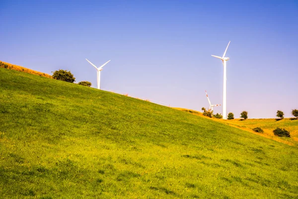 Szélturbina-generátor füves területen — Stock Fotó