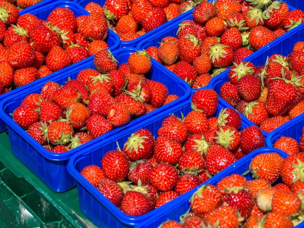 Fresas en el mercado —  Fotos de Stock