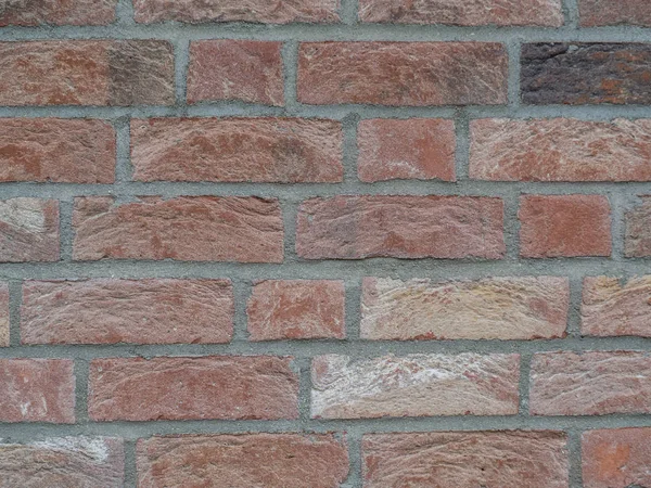 Grunge Bricks Texture image — 스톡 사진