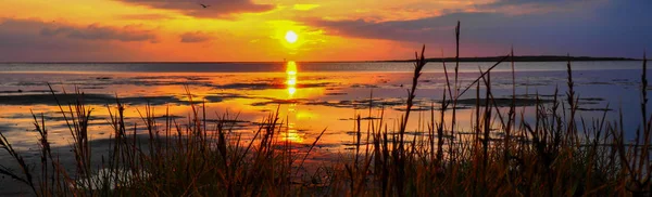 Panorama Západ slunce u Waddenského moře — Stock fotografie