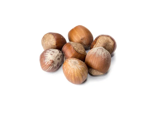 Свежий Hazelnuts изолированный фон — стоковое фото