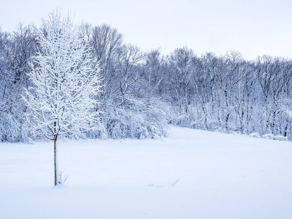 サクソニーの冬の雪景色 — ストック写真