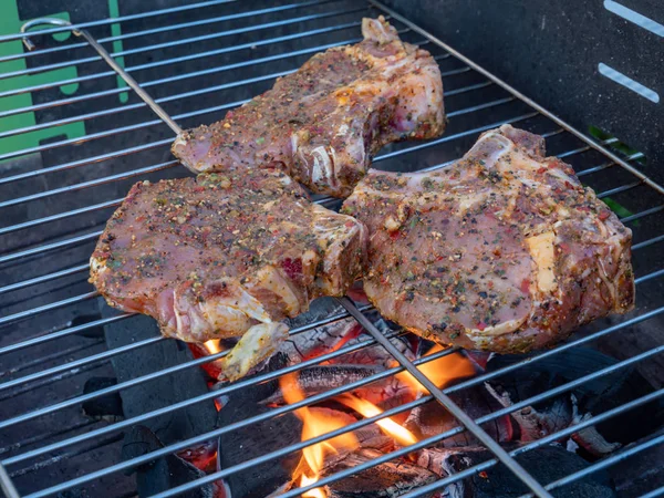 Steaks on the charcoal grill — 스톡 사진