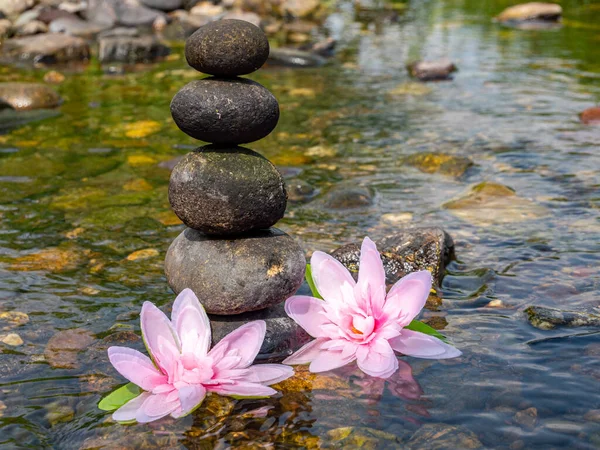 Equilibrio di pietre con fiori di loto nel fiume — Foto Stock