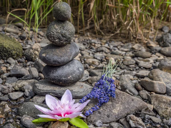 Équilibre des pierres avec fleur de lotus — Photo