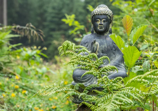 Estatua de buddha en el bosque —  Fotos de Stock