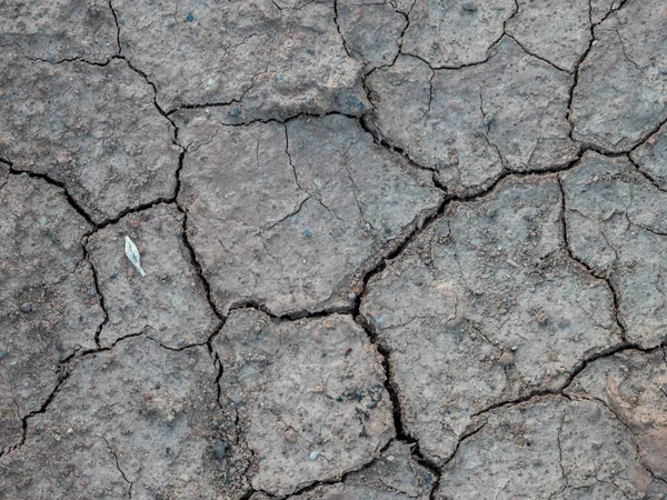 Dryness in the soil Climate change