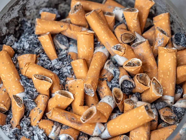 Adicción al cigarrillo: muchos cigarrillos con cenizas — Foto de Stock