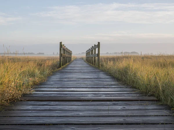 Bron vid kusten — Stockfoto