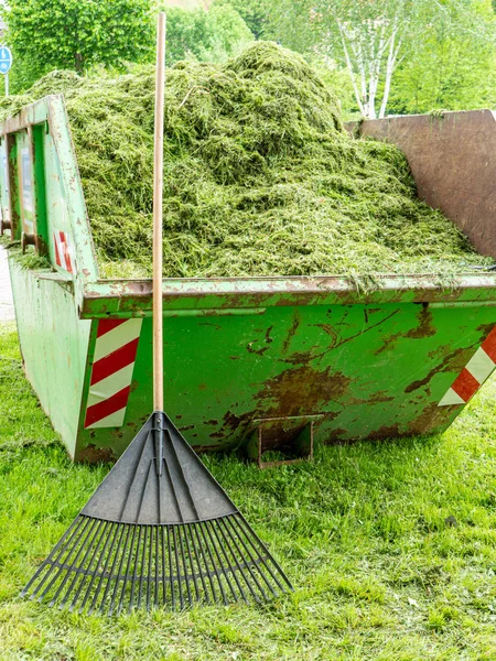 Cepillo de hojas con contenedor cuidado verde —  Fotos de Stock