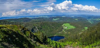 View over the Black Forest clipart