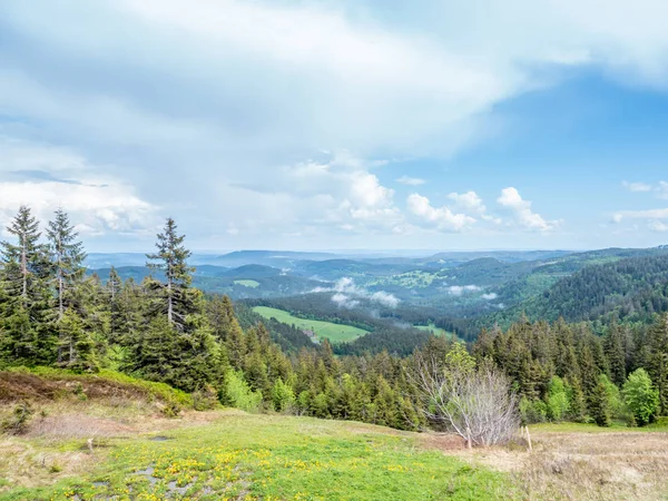 Utsikt över Schwarzwald — Stockfoto
