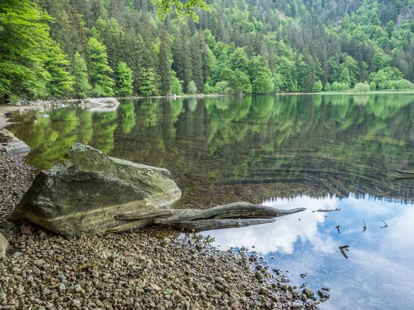Feldsee in the Black Forest — Stock Photo, Image