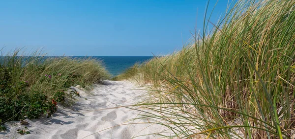 Krajina panoramatické duny na Sylt u Severního moře — Stock fotografie