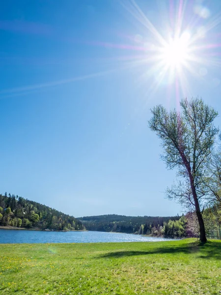 Landschaft an der Bleilochtalsperre in Thüringen — Stockfoto