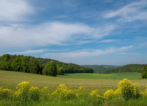 Baharda Franconian İsviçre manzarası — Stok fotoğraf