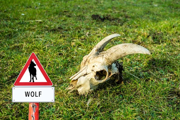 Warnschild Wolf mit Skelett — Stockfoto