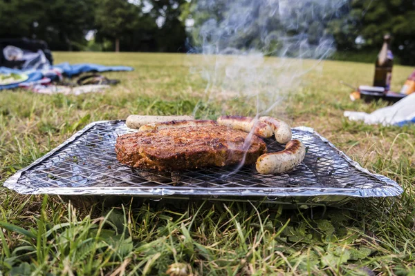 Students grilling on a meadow in summer — Stok fotoğraf