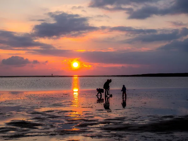 Wandelen in de Waddenzee — Stockfoto