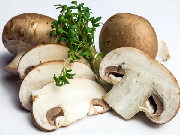 White Mushrooms isolated background image — Stockfoto