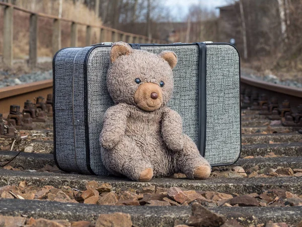 Teddy su una ferrovia — Foto Stock