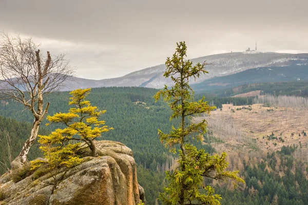 Pohled na Brocken v Harzských horách — Stock fotografie