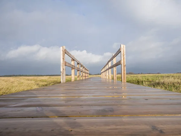 Ponte sul mare — Foto Stock