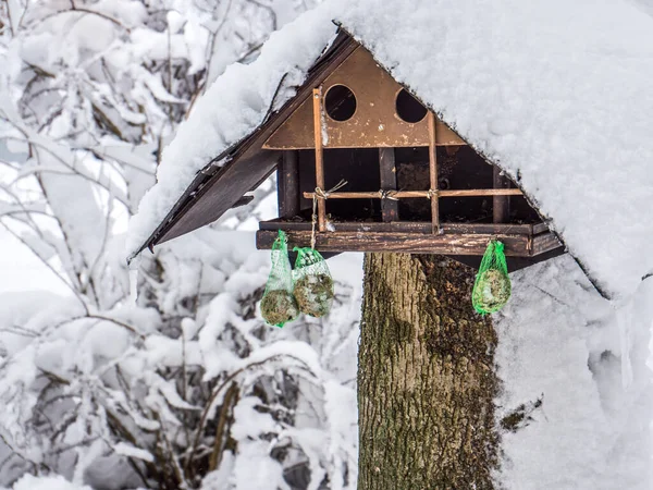 Vintern livnär sig på ett fågelhus — Stockfoto