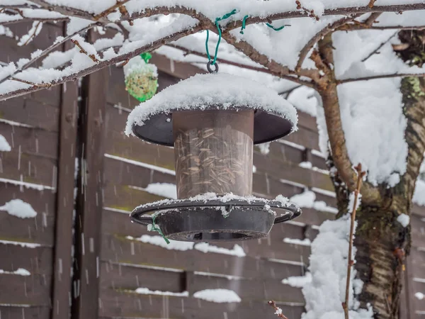 Columna de alimentación Alimentación de aves en invierno — Foto de Stock