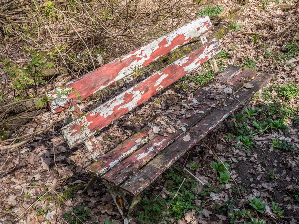 weathered old garden bench