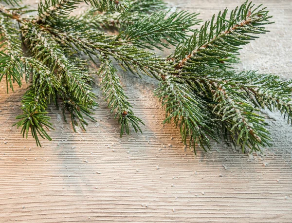 Fir branch decoration background — 스톡 사진