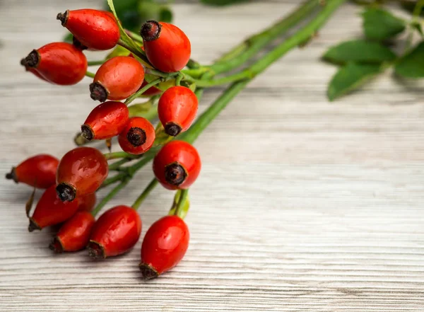 Rosehip on a wooden background — Stock Photo, Image