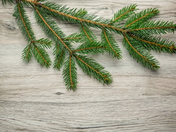 Fir branch decoration background — Stock Photo, Image