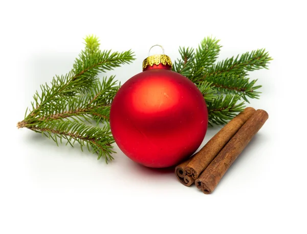Изолированная ветвь с рождественским декором — стоковое фото