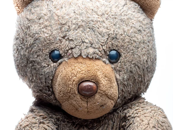 Vecchio Teddy peluche faccia animale — Foto Stock