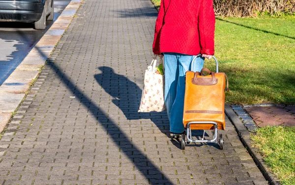 Old woman with shopping trolley — 스톡 사진