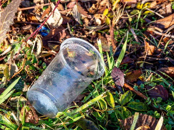 Copo de plástico poluição ambiental na natureza — Fotografia de Stock