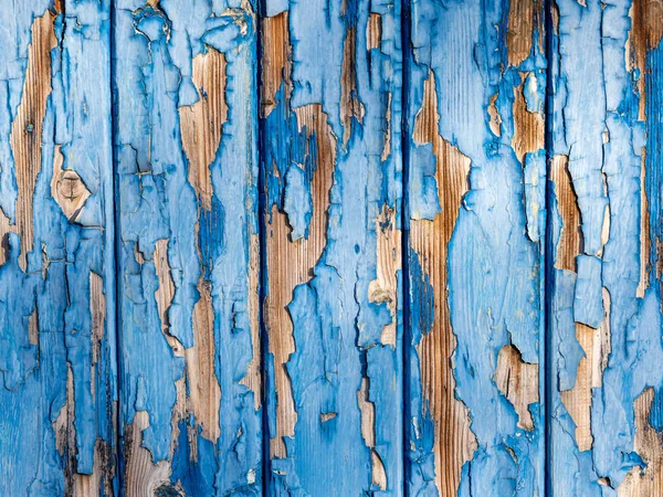 Modrá dřevěná zeď, která je ošlehaná — Stock fotografie