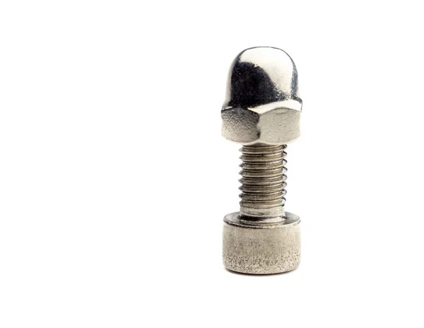 Single screw with round nut — 스톡 사진