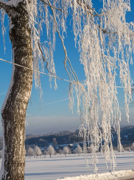 Crystals Tree Blue Background — Stock Photo, Image