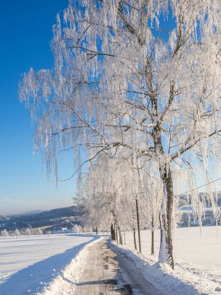 Erzgebirge山脈の冬の風景 — ストック写真