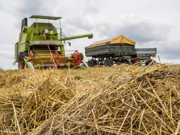 Graanoogst in het veld — Stockfoto