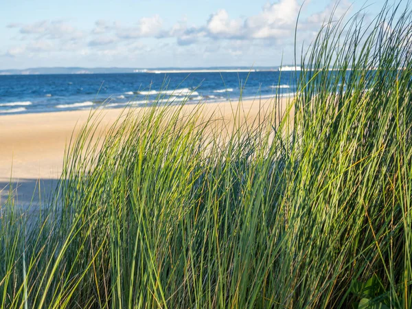 Paesaggio delle dune sul Mar Baltico — Foto Stock