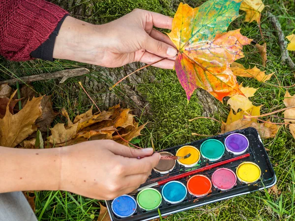 Maple leaf paint tinkering kindergarten Background Autumn