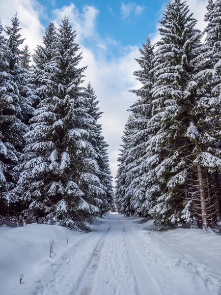 Erzgebirgeの雪景色 — ストック写真