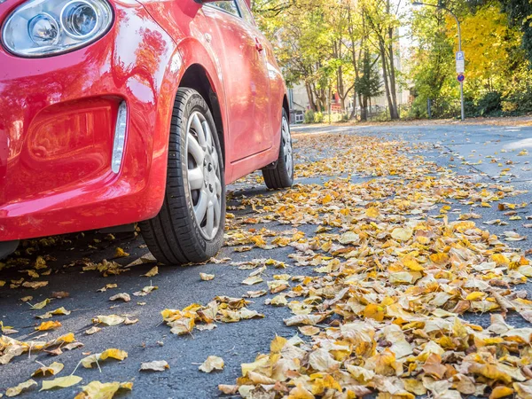 Grip on the road in autumn — Stock Photo, Image